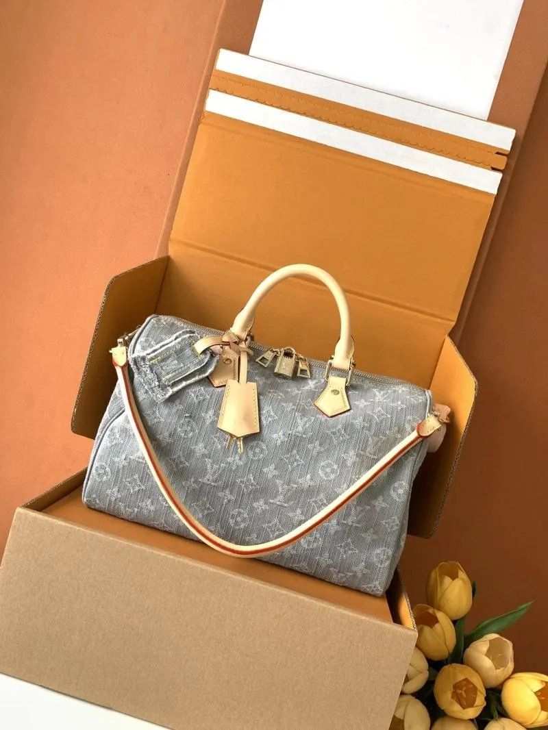 LV Speedy Bags-429
