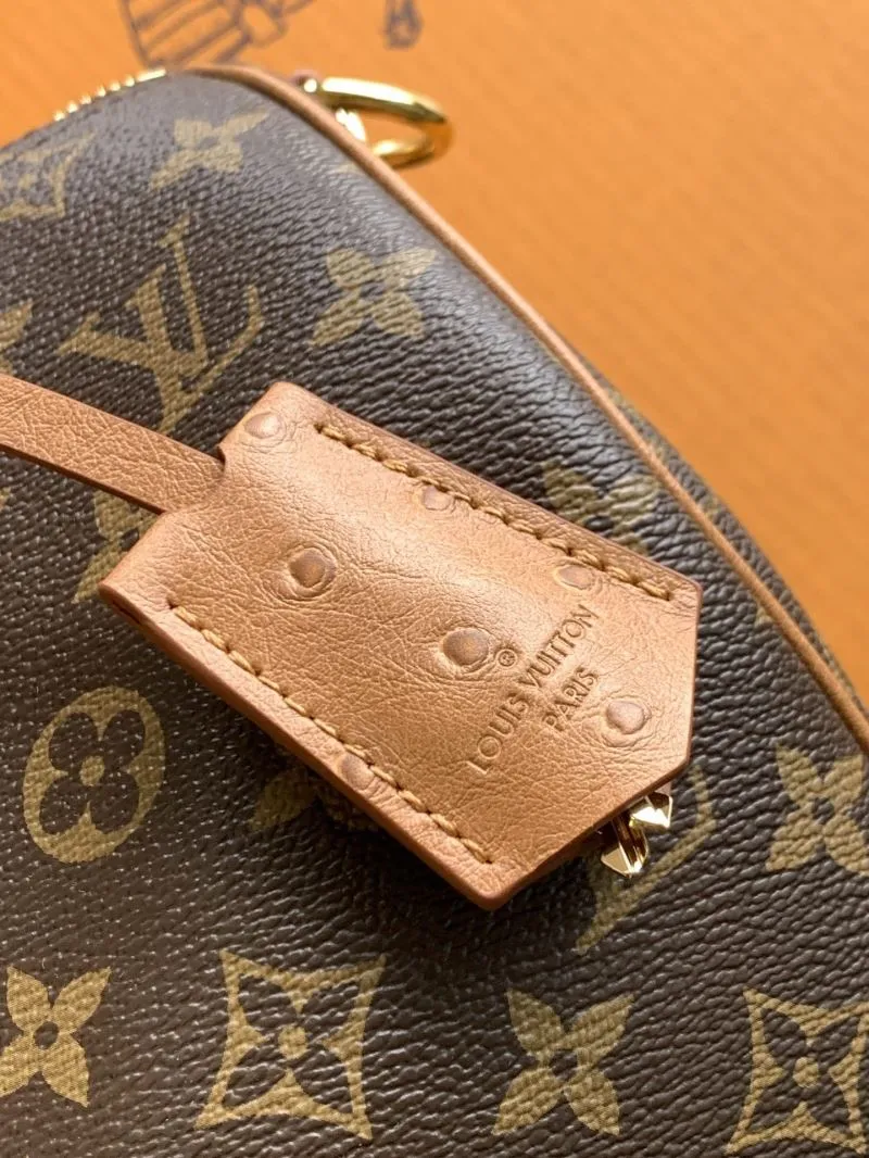 Alternative view of LV Speedy Bags-433