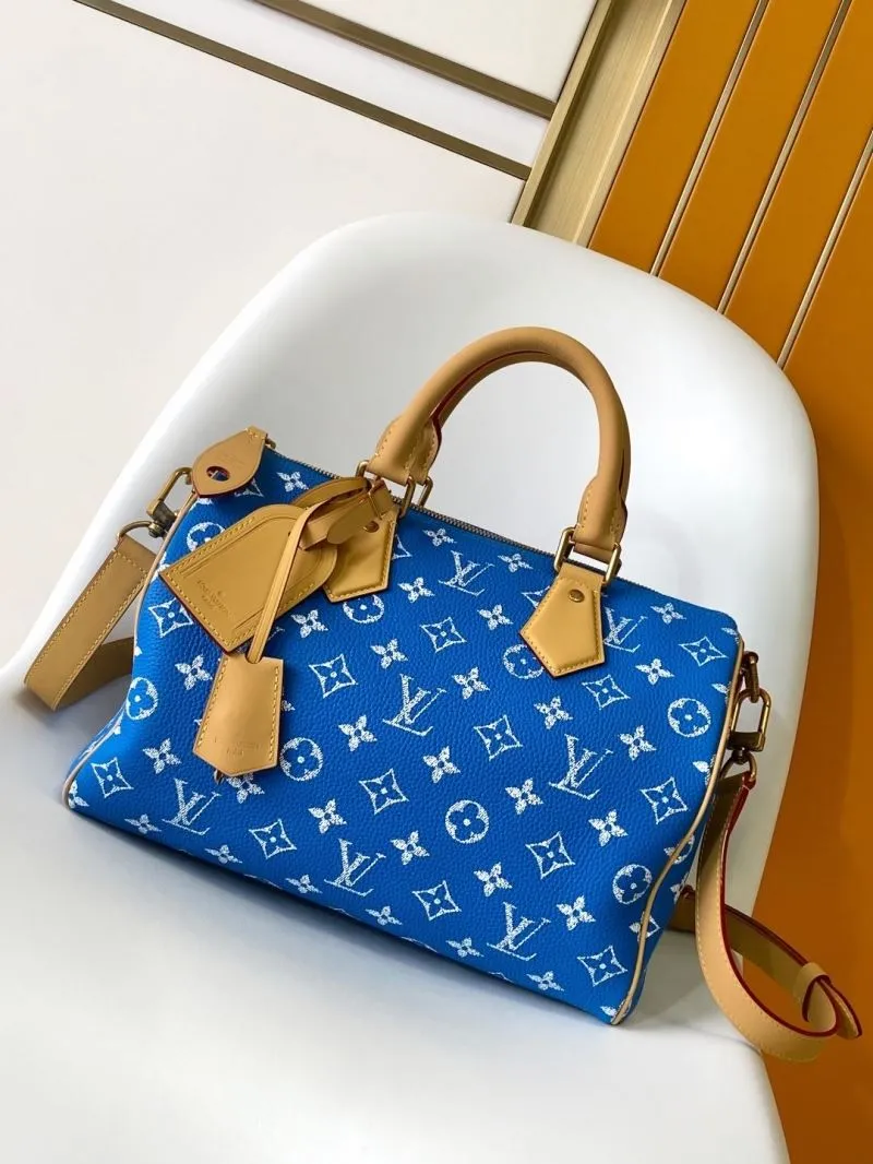 LV Speedy Bags-451