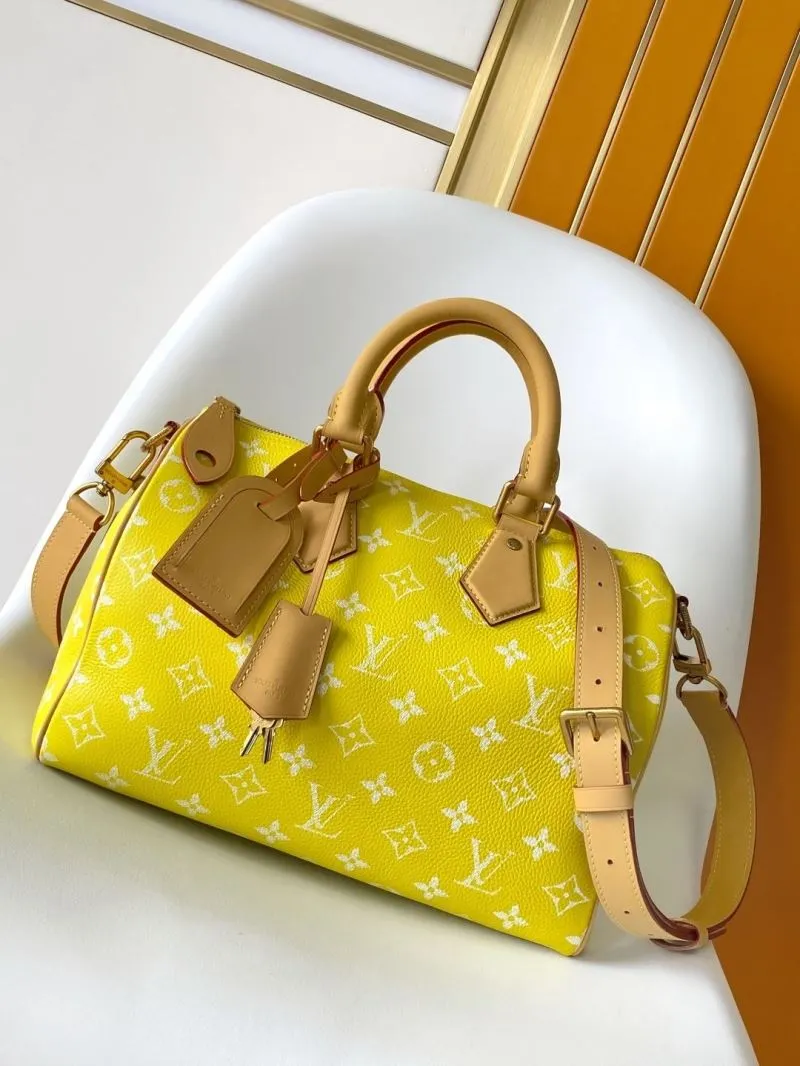 LV Speedy Bags-458