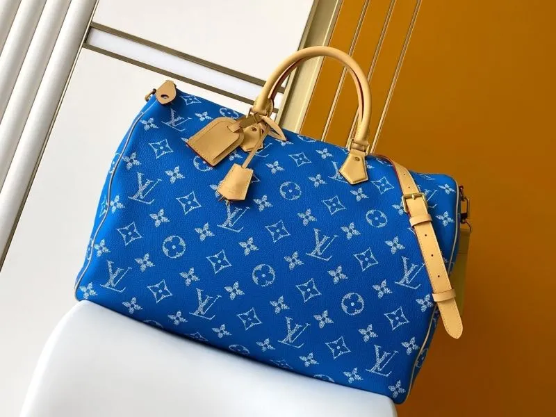 LV Speedy Bags-469