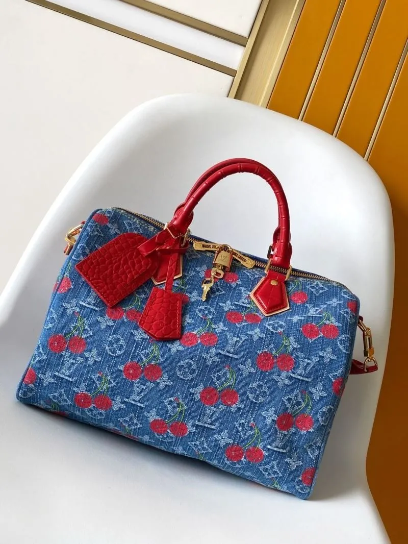 LV Speedy Bags-480