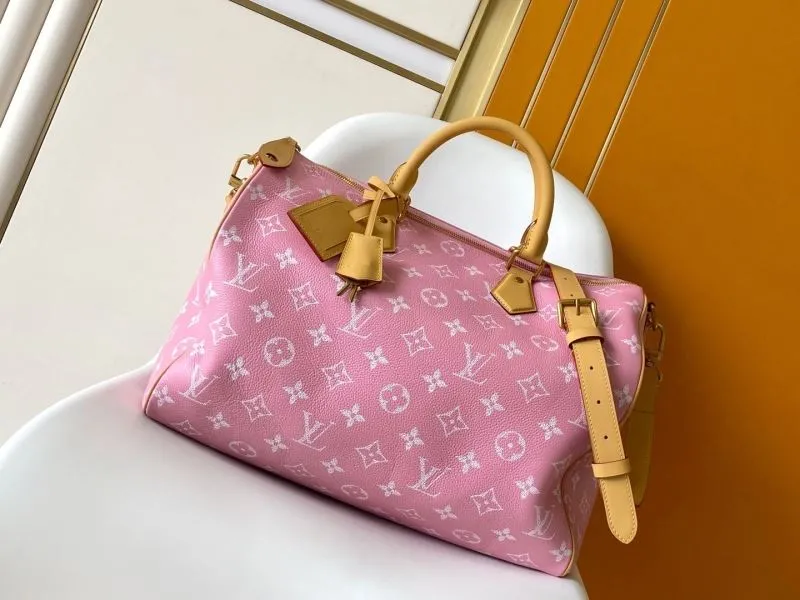 LV Speedy Bags-489