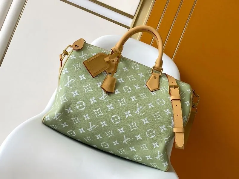 LV Speedy Bags-490