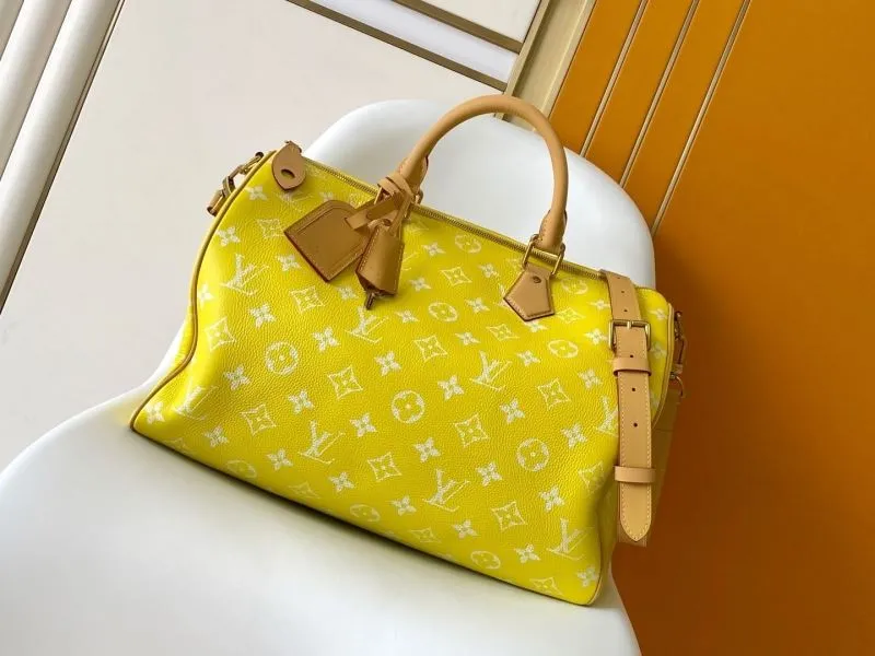 LV Speedy Bags-491