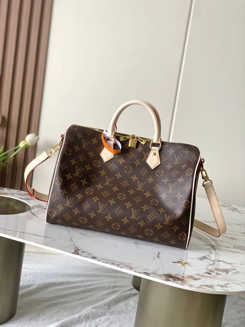 LV Speedy Bags-509