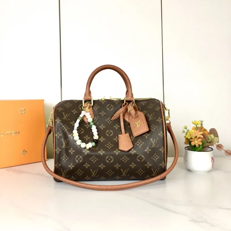 LV Speedy Bags-527