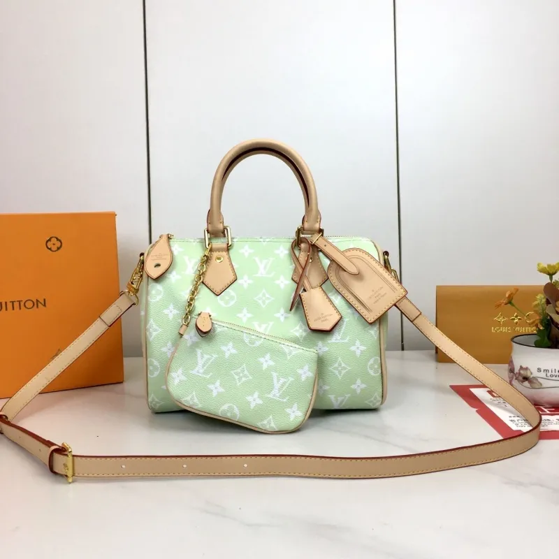 LV Speedy Bags-529