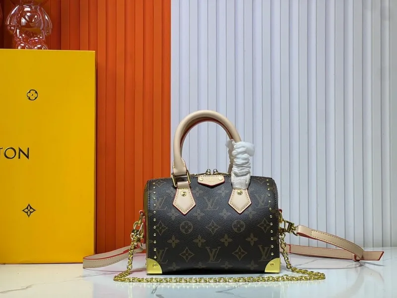 LV Speedy Bags-546