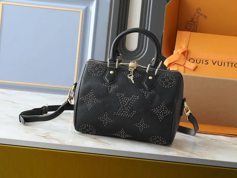 LV Speedy Bags-563