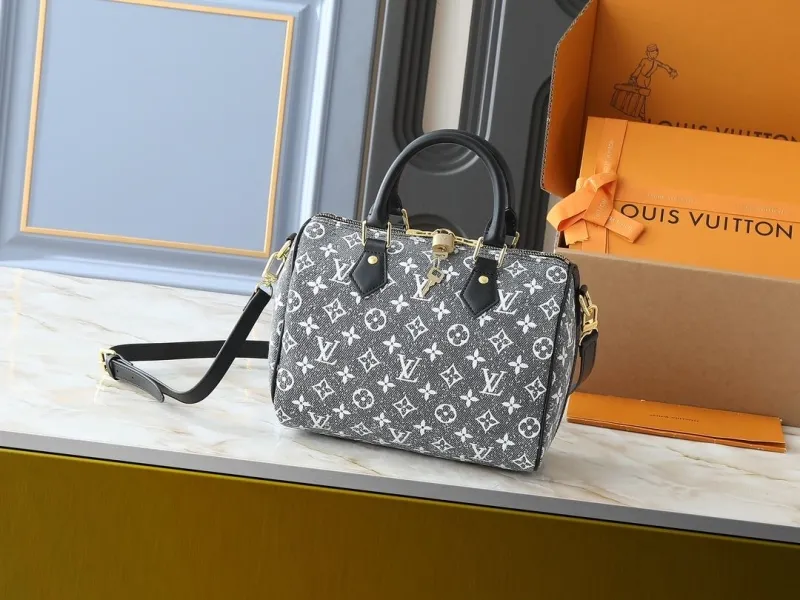 LV Speedy Bags-564