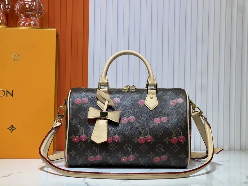 LV Speedy Bags-565