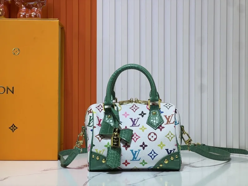 LV Speedy Bags-569
