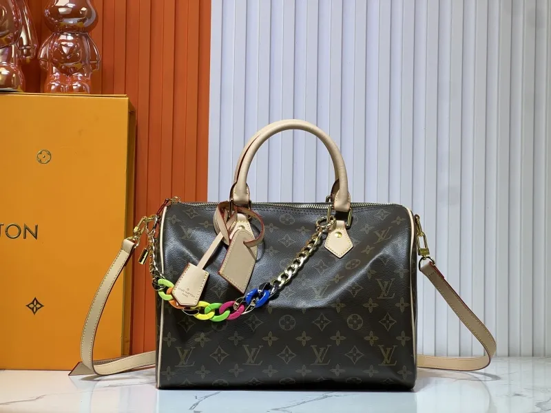 LV Speedy Bags-576