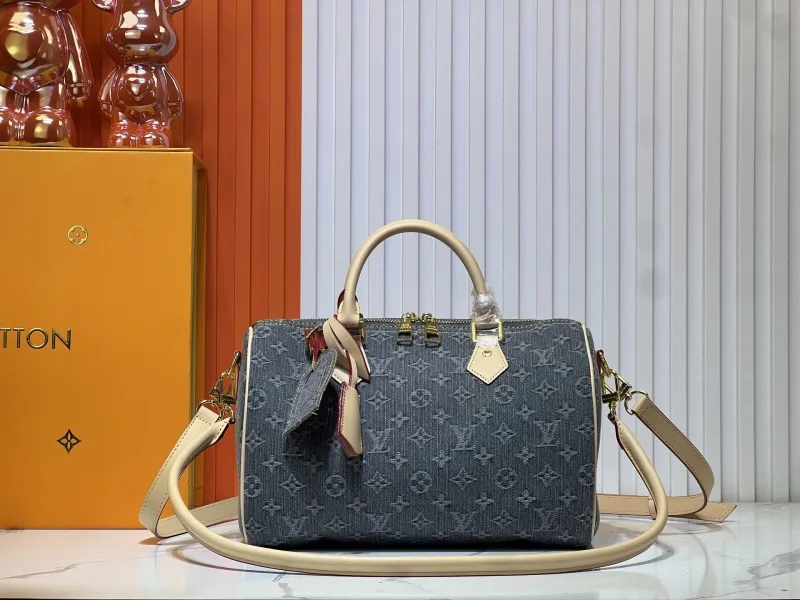 LV Speedy Bags-578