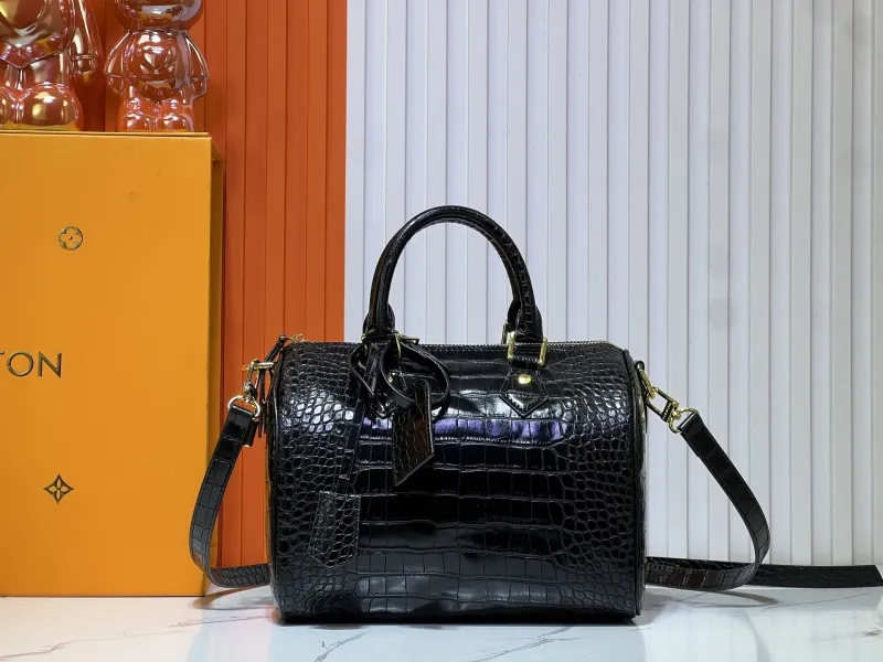 LV Speedy Bags-579