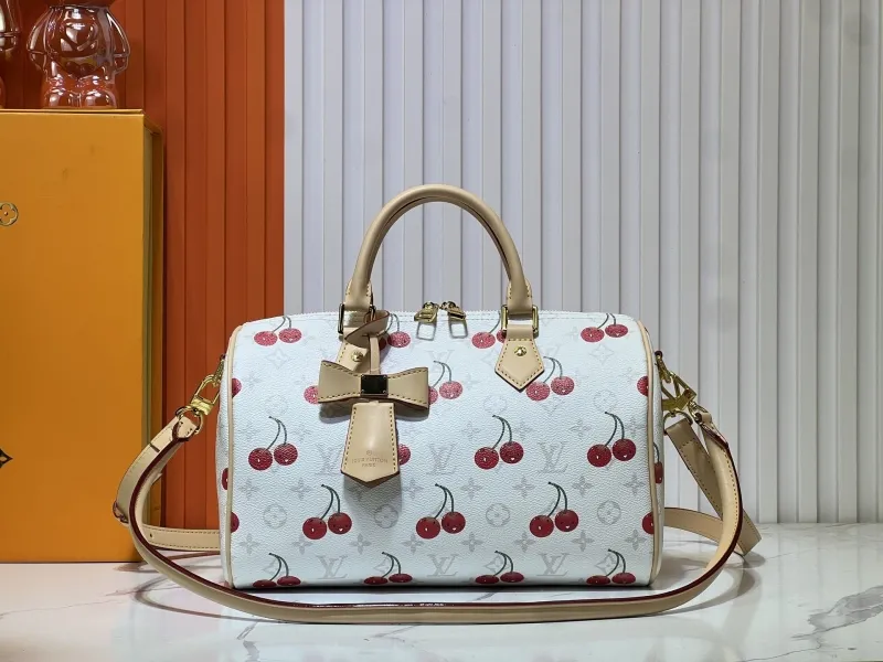 LV Speedy Bags-584