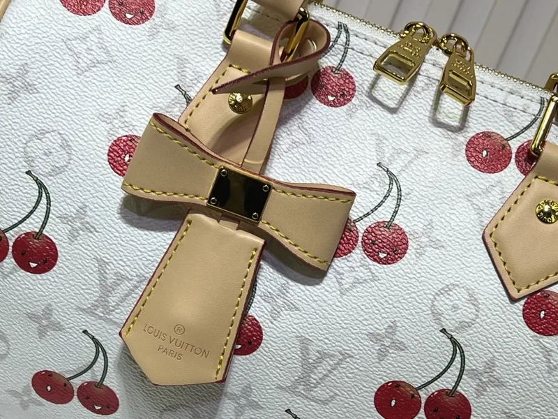 LV Speedy Bags-584 - Image 4