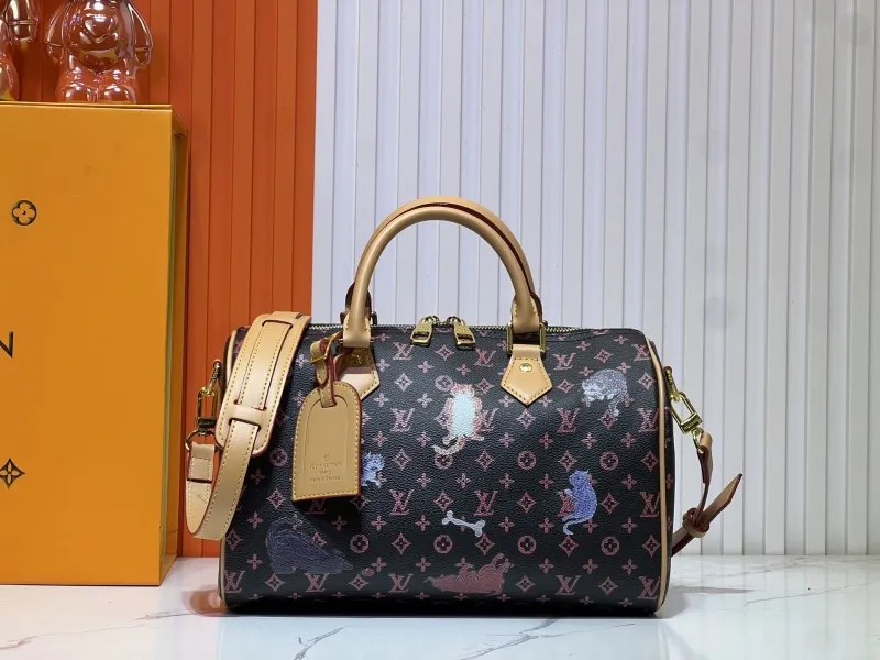 LV Speedy Bags-585