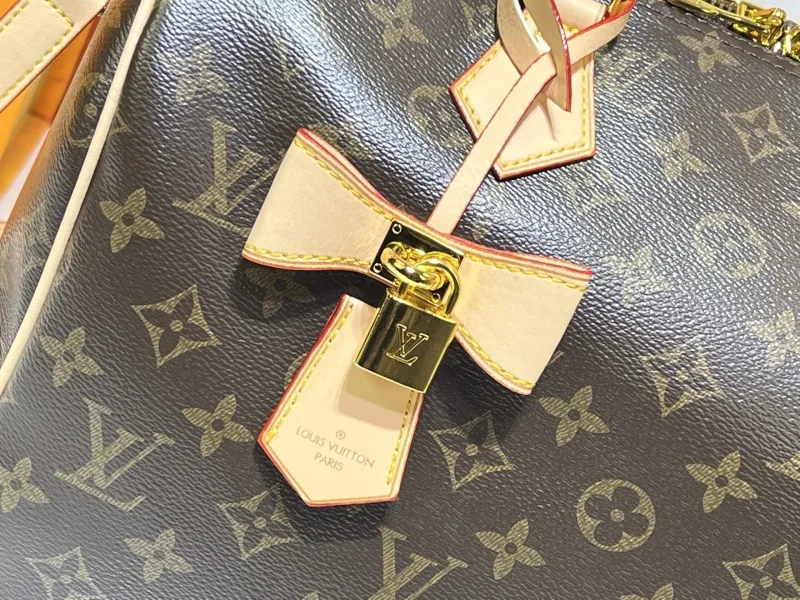 LV Speedy Bags-587 - Image 5
