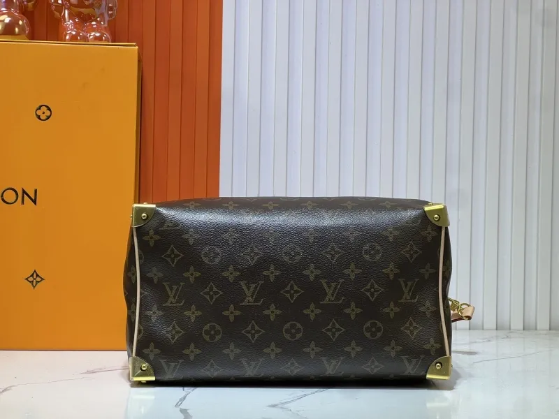 LV Speedy Bags-587 - Image 7