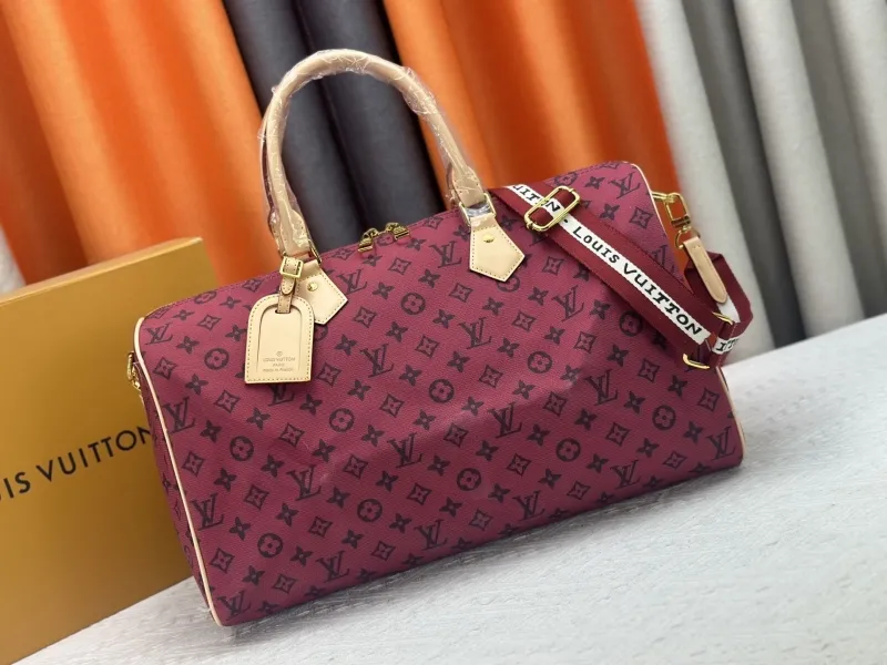 LV Travel Bags-12