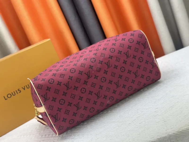 LV Travel Bags-12 - Image 5