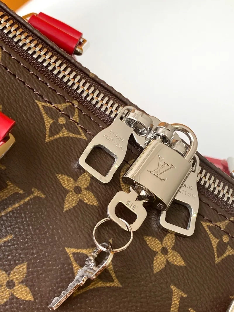 LV Travel Bags-102 - Image 6
