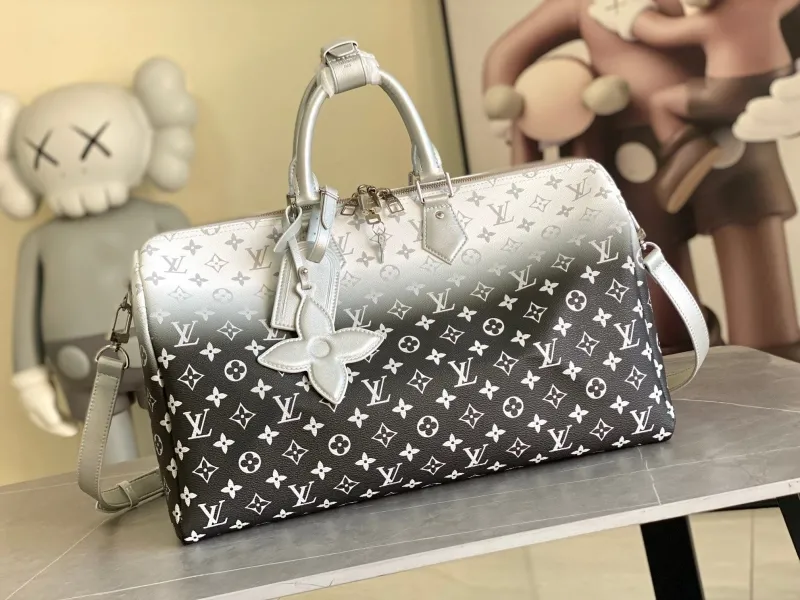 LV Travel Bags-160