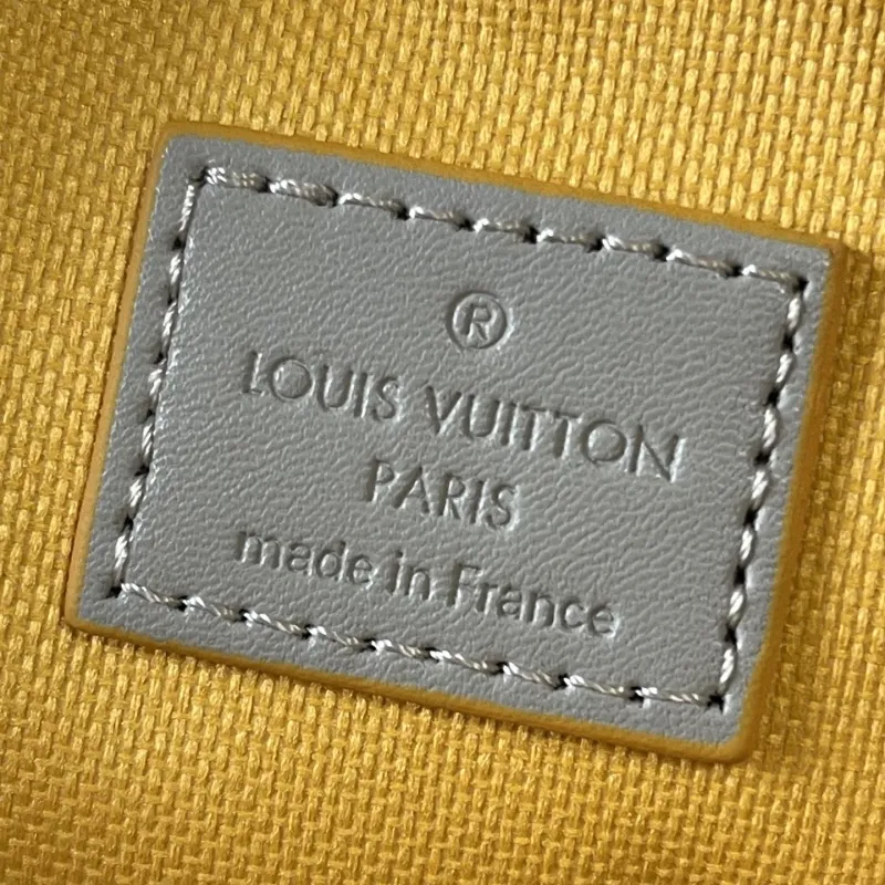 LV Waist & Chest Packs-7 - Image 9