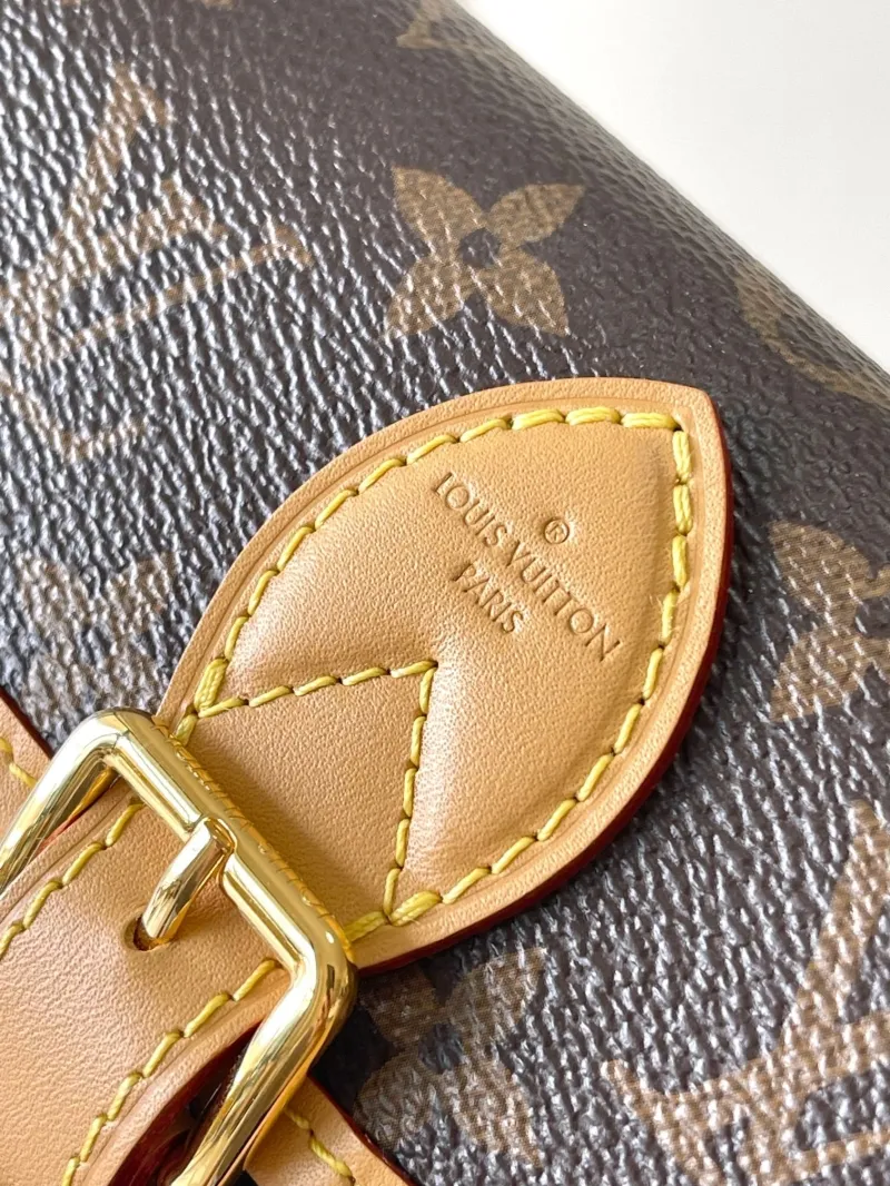 LV Waist & Chest Packs-46 - Image 6