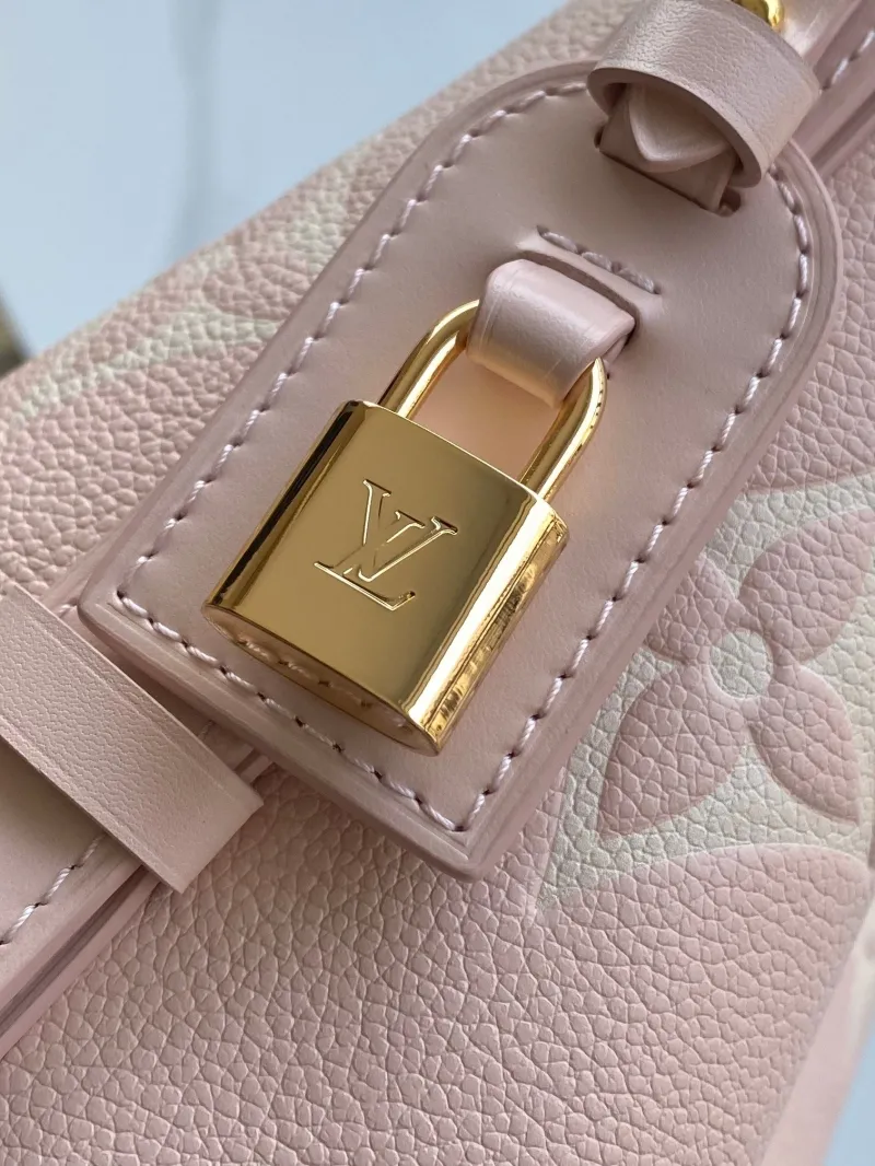LV Waist & Chest Packs-48 - Image 5