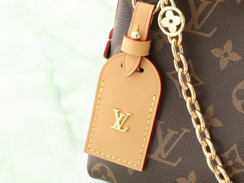 LV Waist & Chest Packs-80 - Image 11