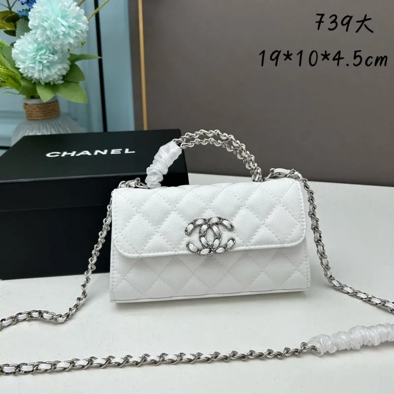 Chanel Satchel Bags-14