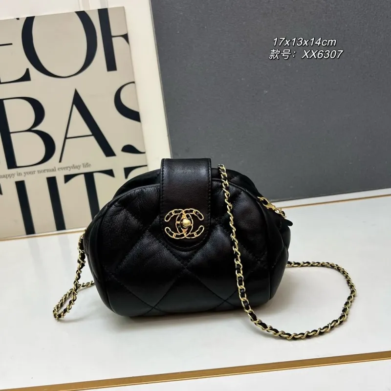 Chanel Satchel Bags-21