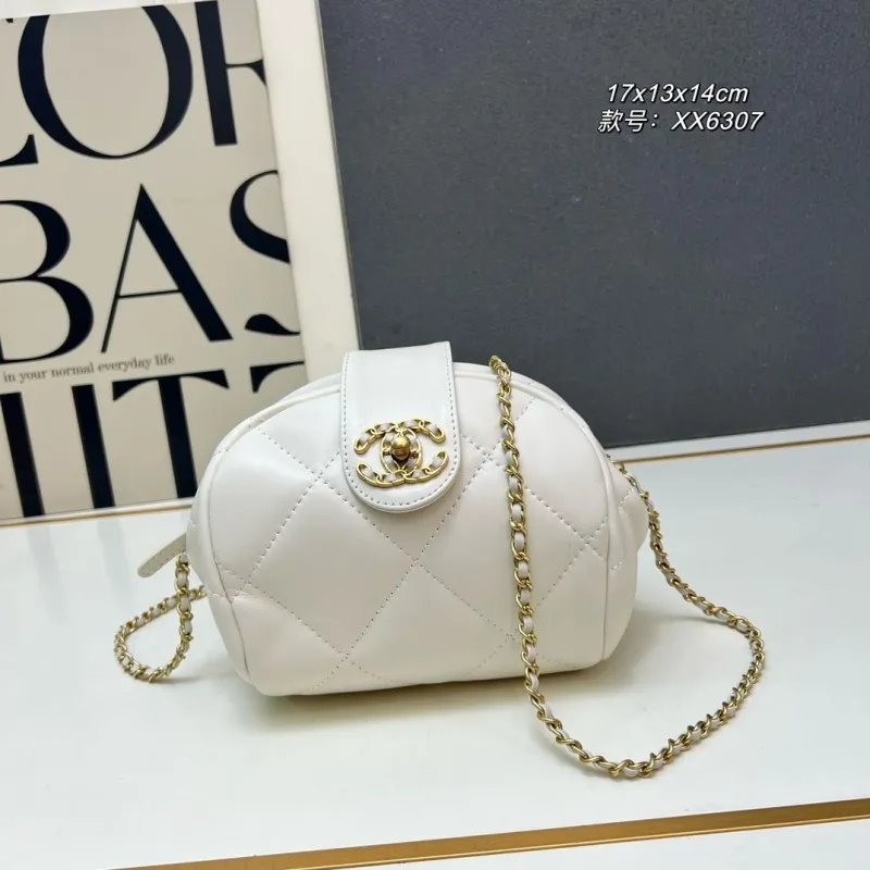 Chanel Satchel Bags-22