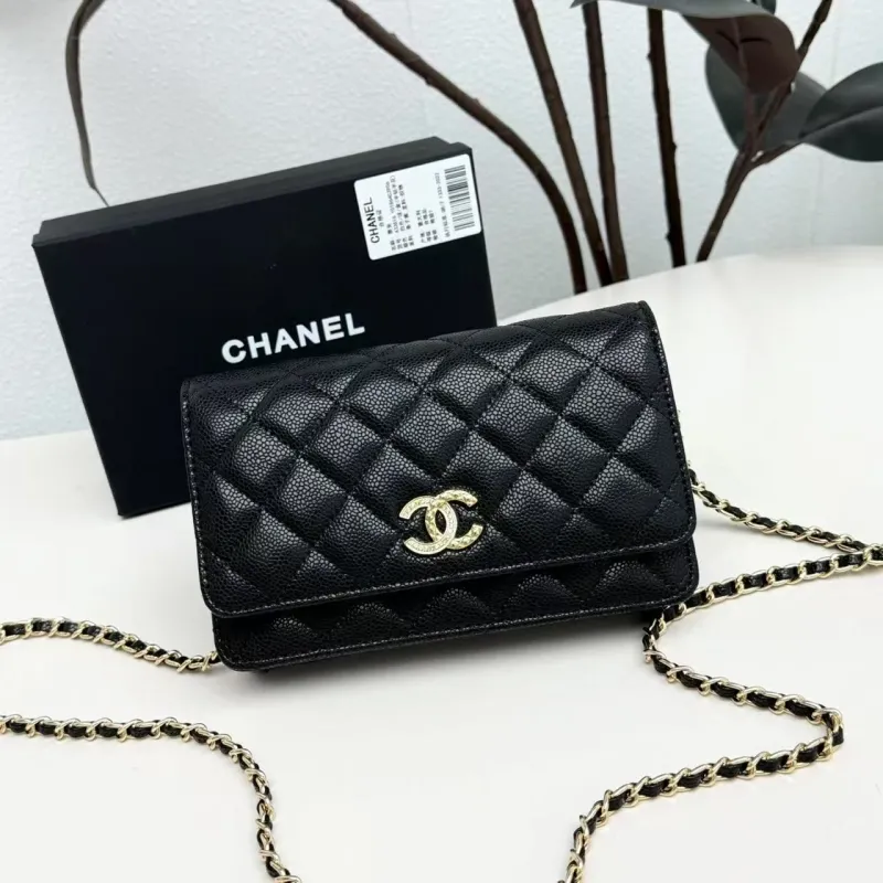 Chanel Satchel Bags-24