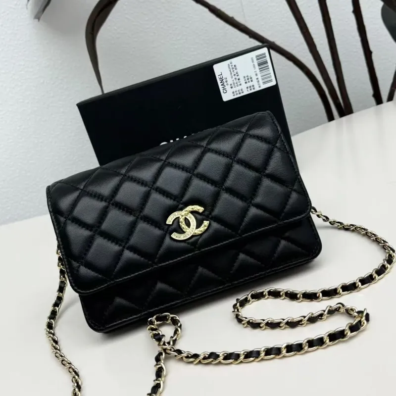 Chanel Satchel Bags-25