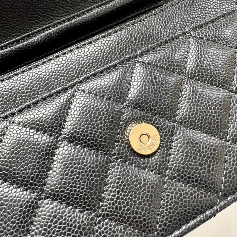 Alternative view of Chanel Satchel Bags-27