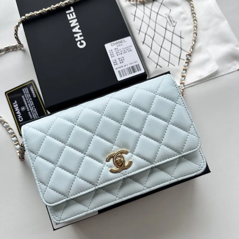 Chanel Satchel Bags-47