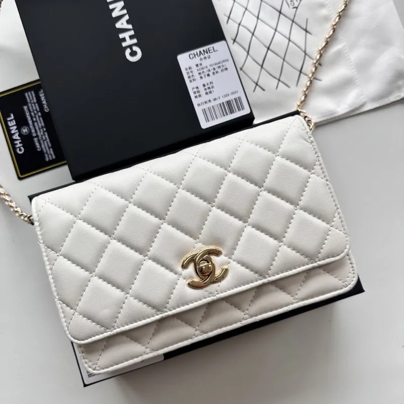 Chanel Satchel Bags-48