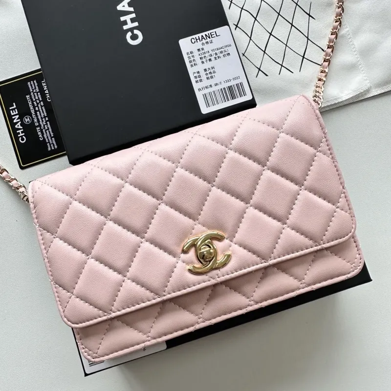 Chanel Satchel Bags-49