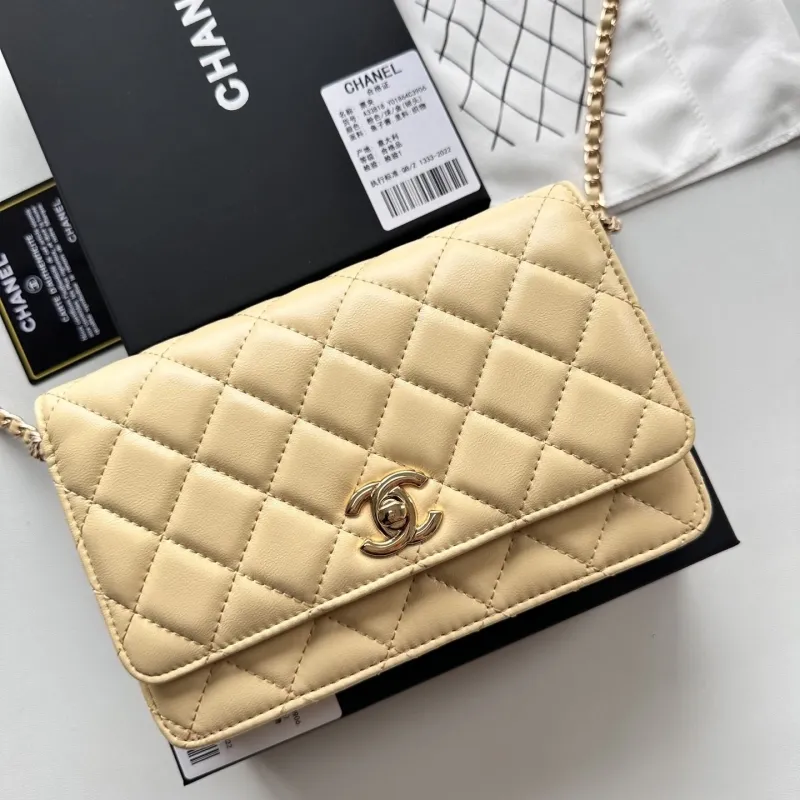 Chanel Satchel Bags-50