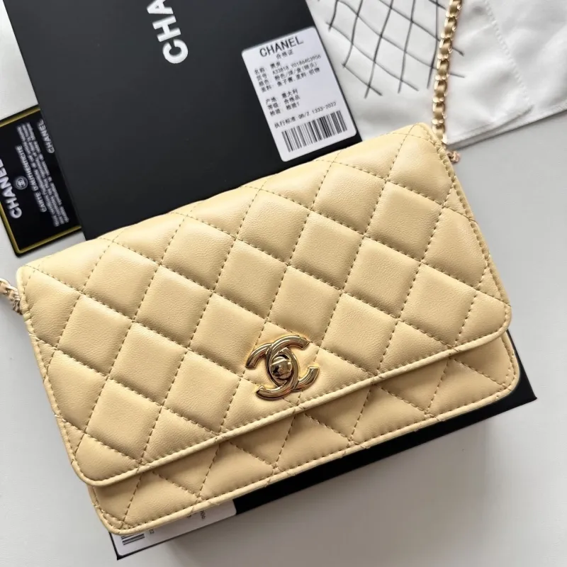 Chanel Satchel Bags-50 - Image 3