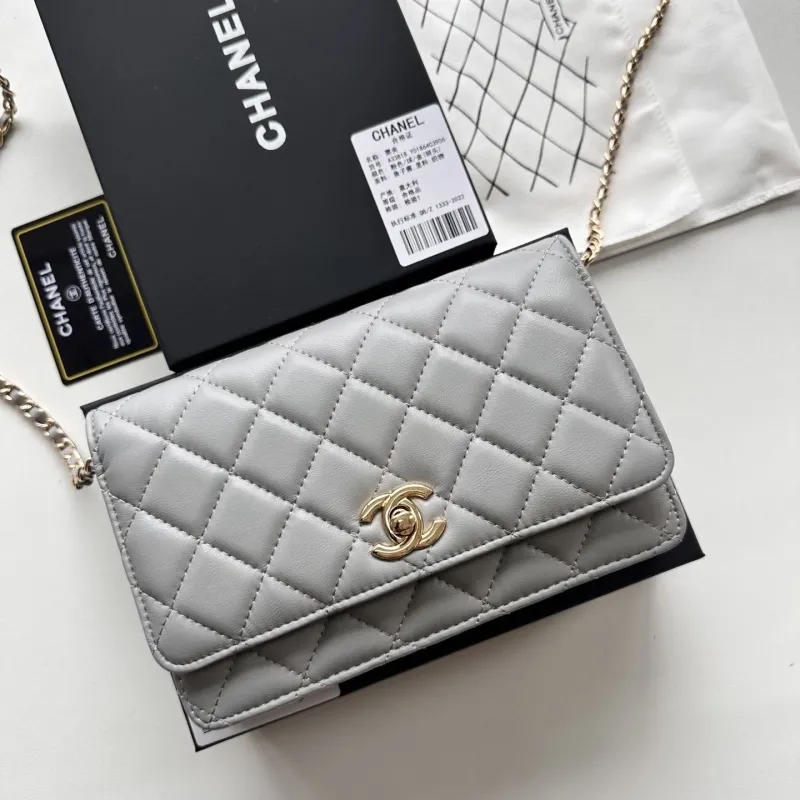 Chanel Satchel Bags-51