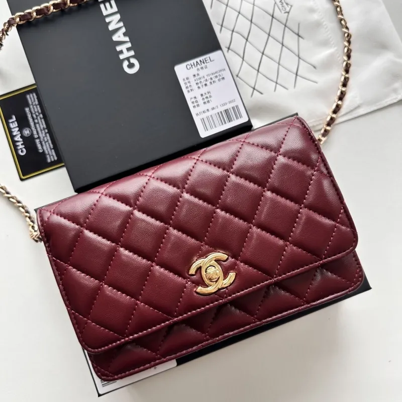 Chanel Satchel Bags-52