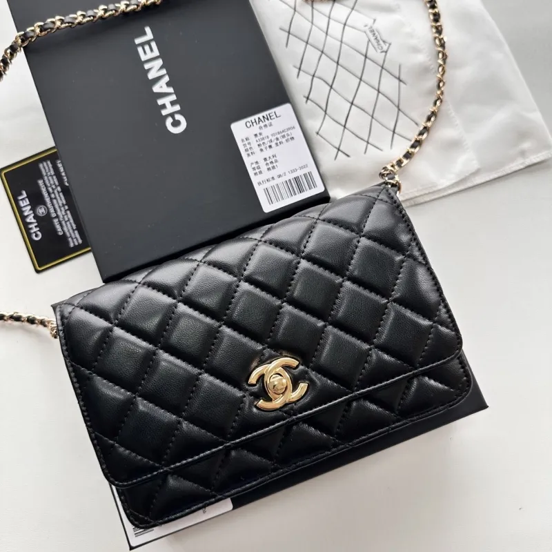 Chanel Satchel Bags-53