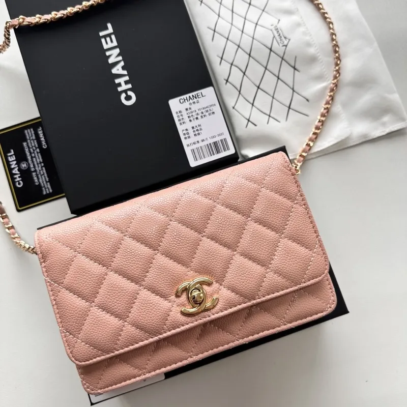 Chanel Satchel Bags-55