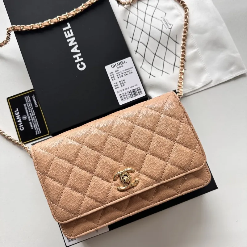 Chanel Satchel Bags-56