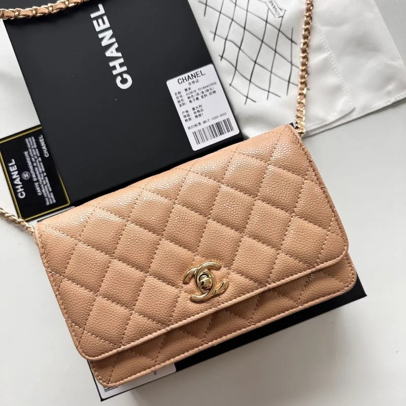 Alternative view of Chanel Satchel Bags-56